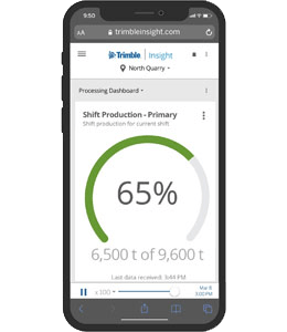 INSIGHT HQ Report Example